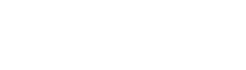 Shabana Saldanha Designs